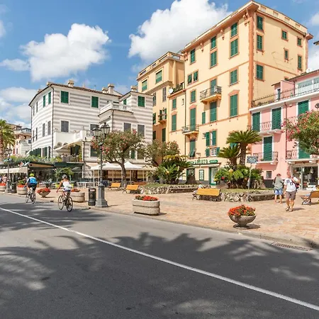 Apartment 1 Bedroom Lovely In